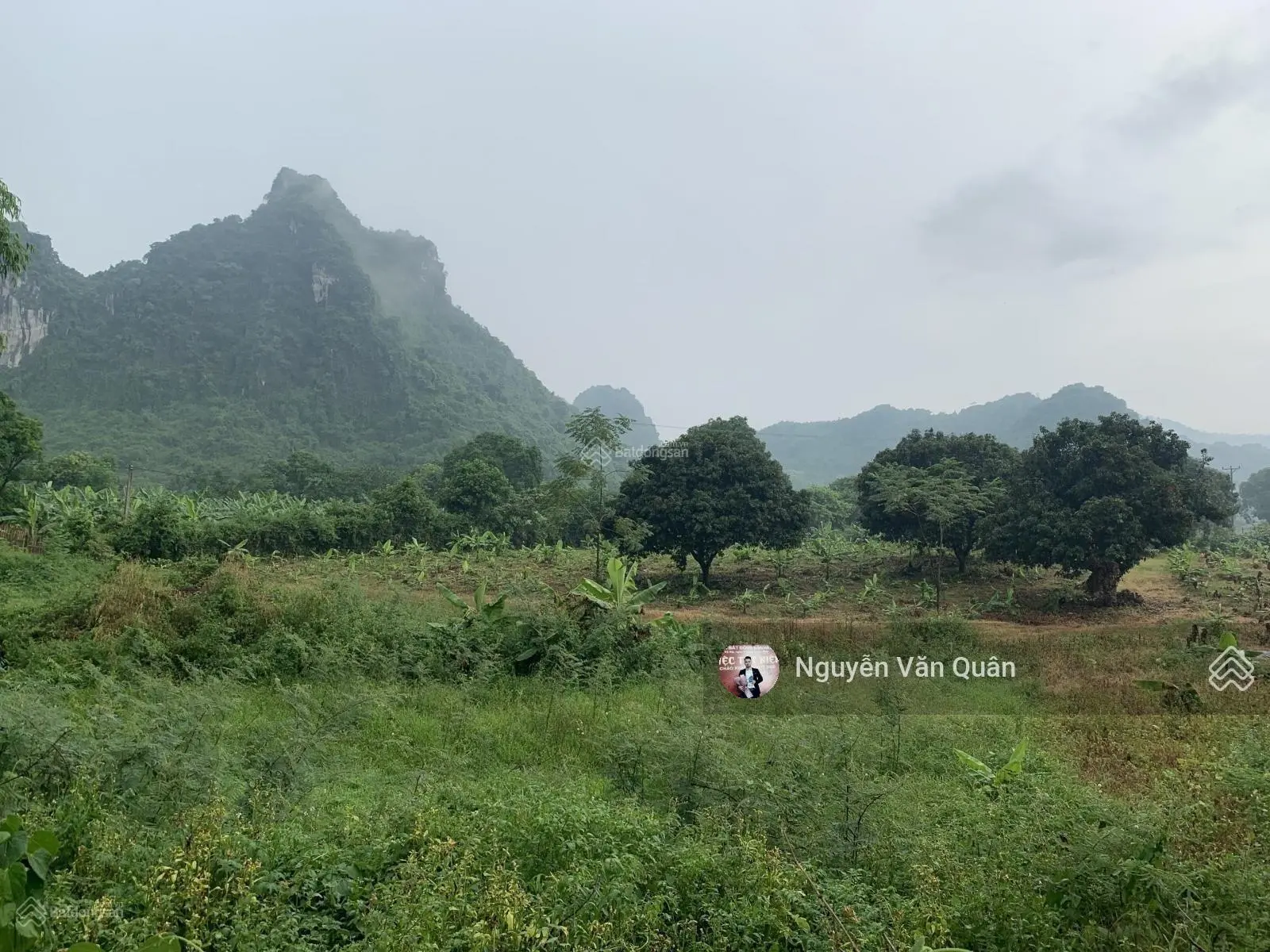 Siêu phẩm! Lô góc 8392m2, lô góc trục chính đường sân Gold Sky Lake! Xe công tránh! Giá đầu tư