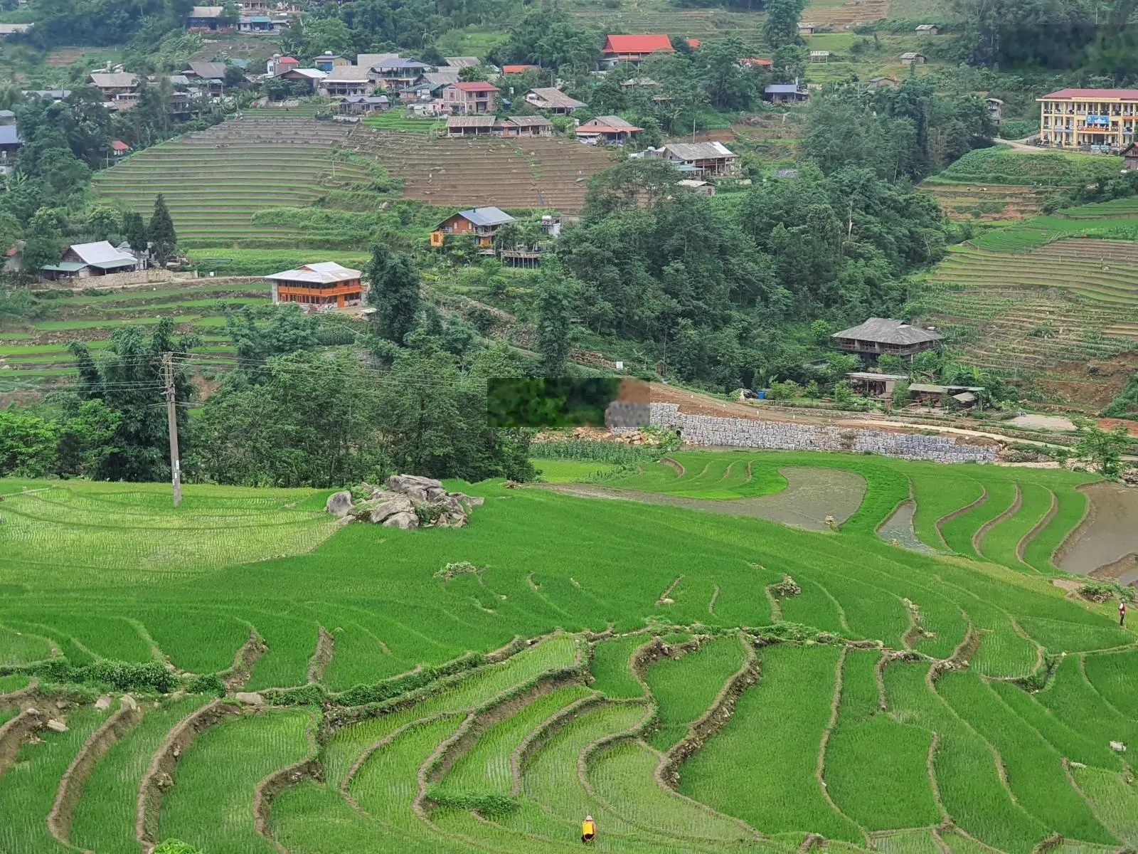 Bán đất view đẹp tại Mường Hoa, Sa Pa, Lào Cai. Diện tích 1000m2, giá thương lượng