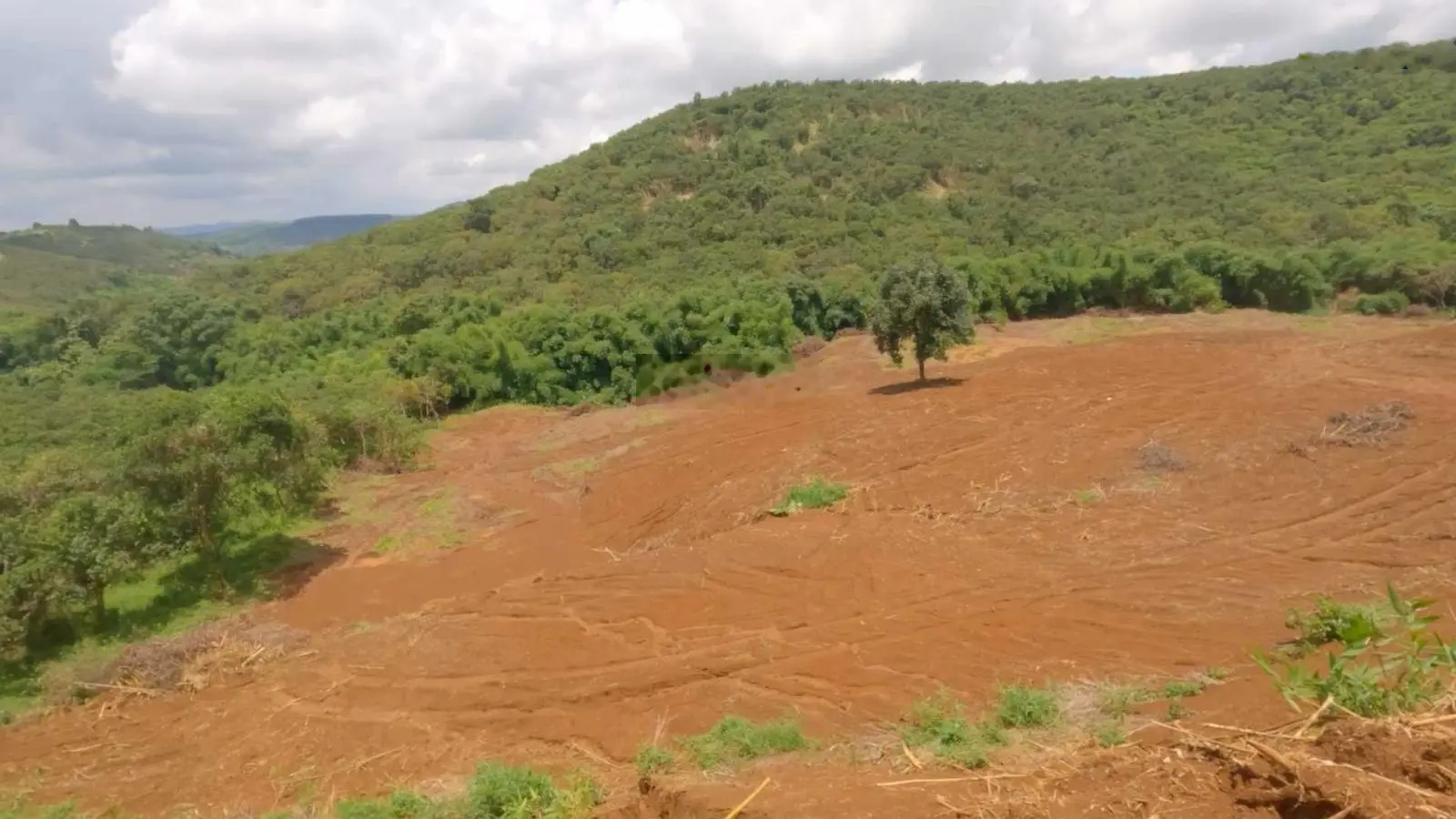 Bán đất Quảng Tân, 3.3Ha, 180m đường đang đổ bê tông, giá bán 1,35 tỷ