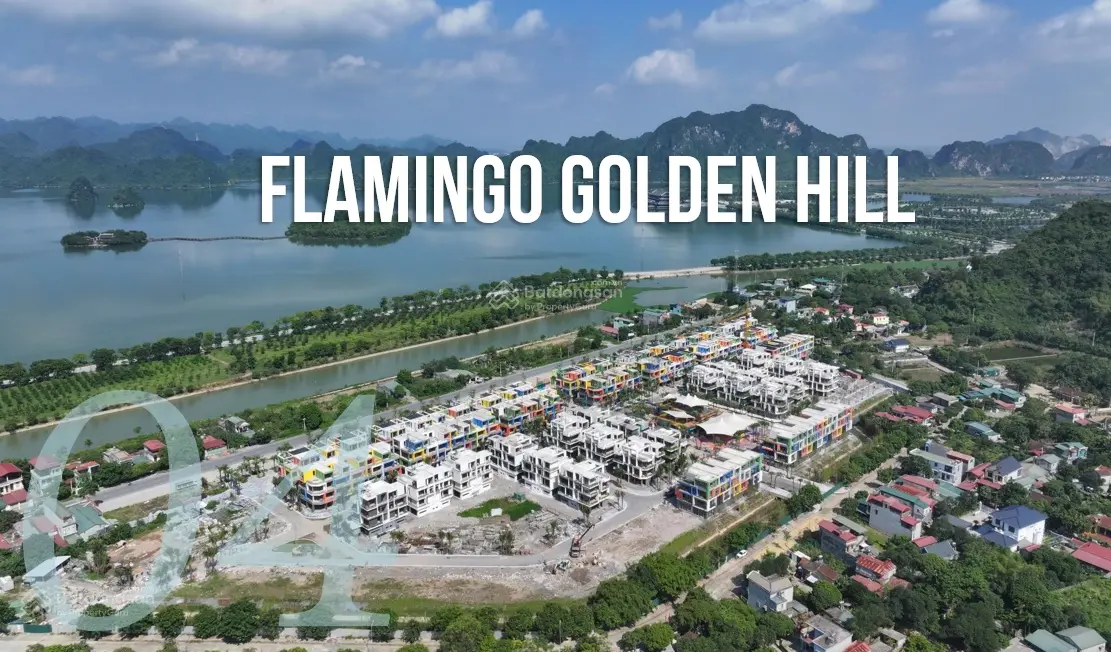 Bán gấp BT ở Flamingo Golden Hill, 60 triệu/m2, 40000m2, 8PN, 4WC