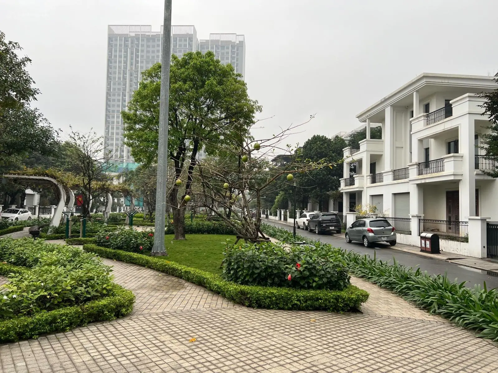 Cập nhật bảng hàng chuyển nhượng shophouse, Vinhomes Gardenia, Mỹ Đình 20/12/2024