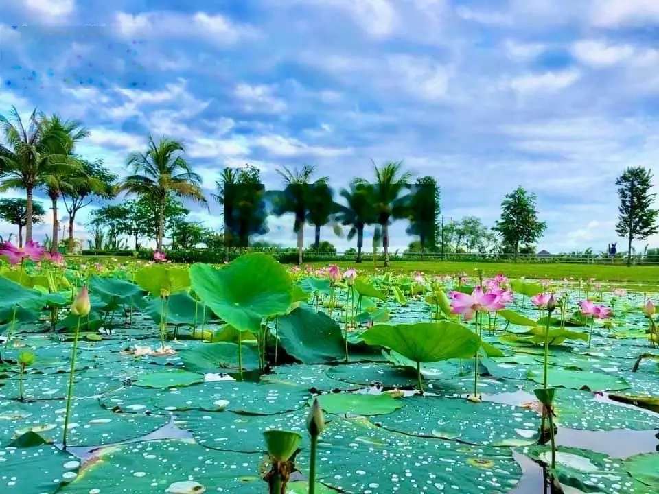 Bán nhà KDC Compoud Park Riverside.Giá thật không đăng ảo - Sổ Hồng Riêng