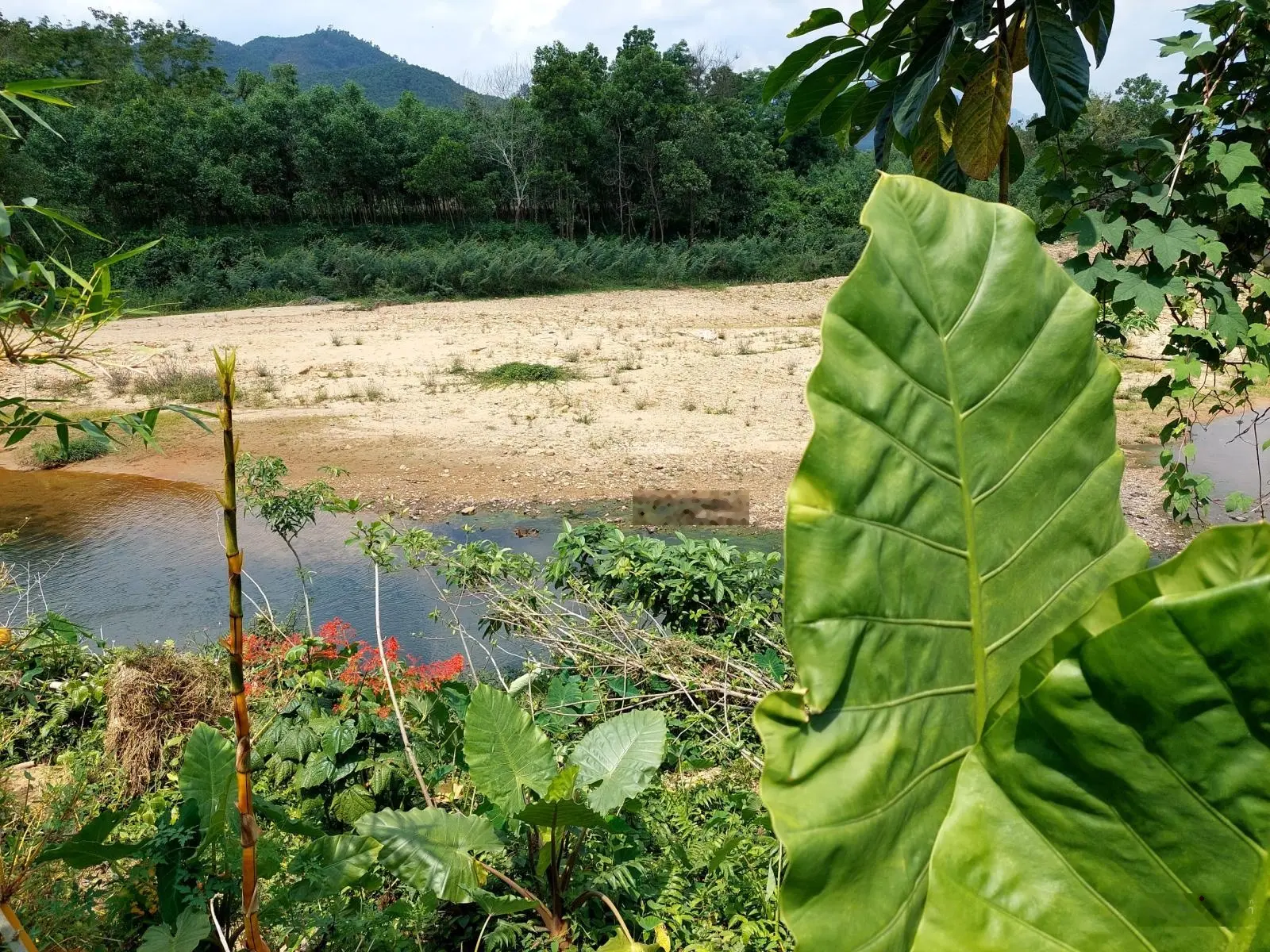 Bán 189m2 đất thổ cư Hòa Ninh, gần suối, đường 5.5m, có lề. Cách Hòa Khánh 5 phút, giá 1,55 tỷ