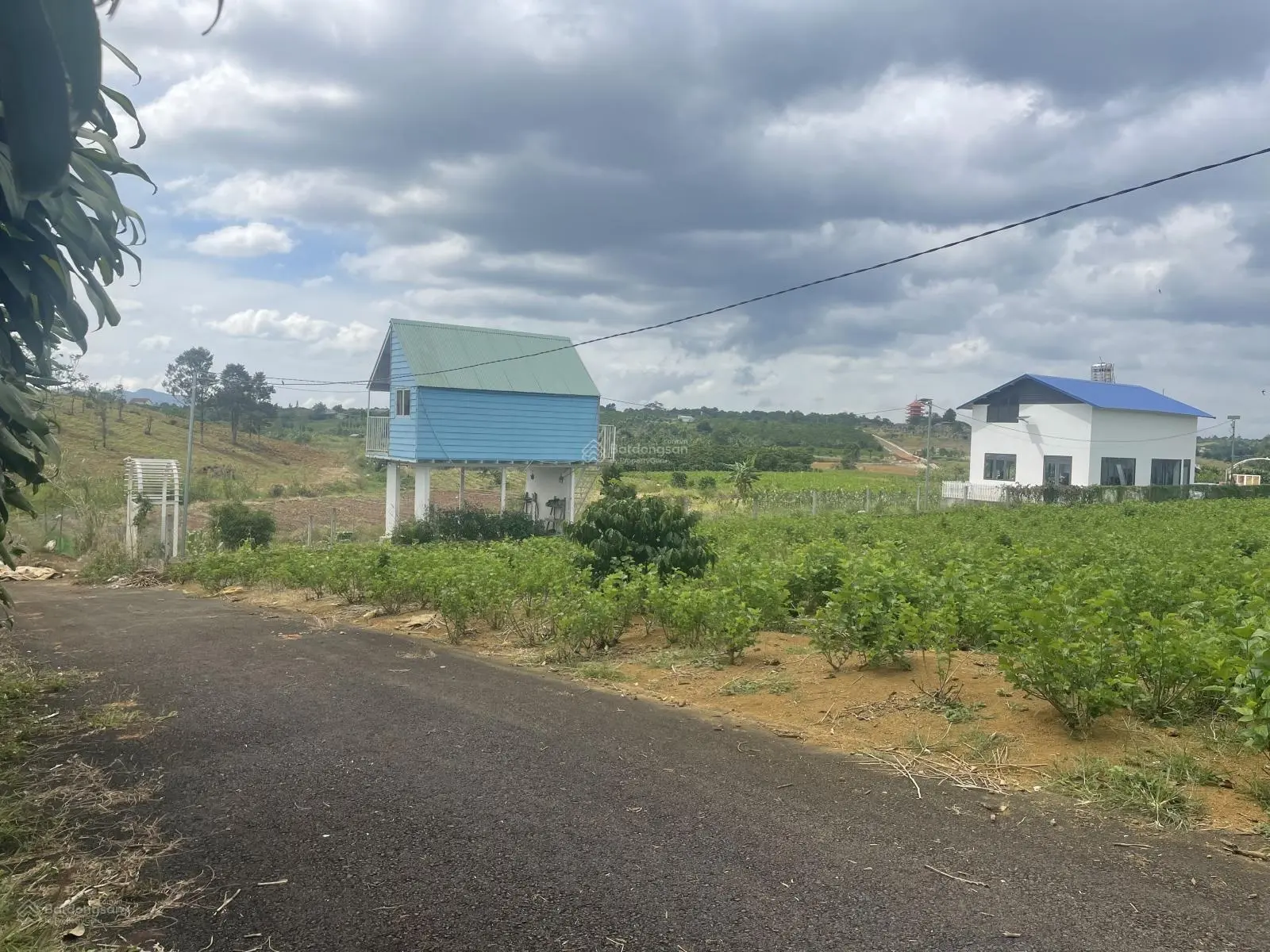 Chính chủ đang cần tiền nên bán gấp căn nhà vườn cùng 1 bungalow, đang cho thuê homestay