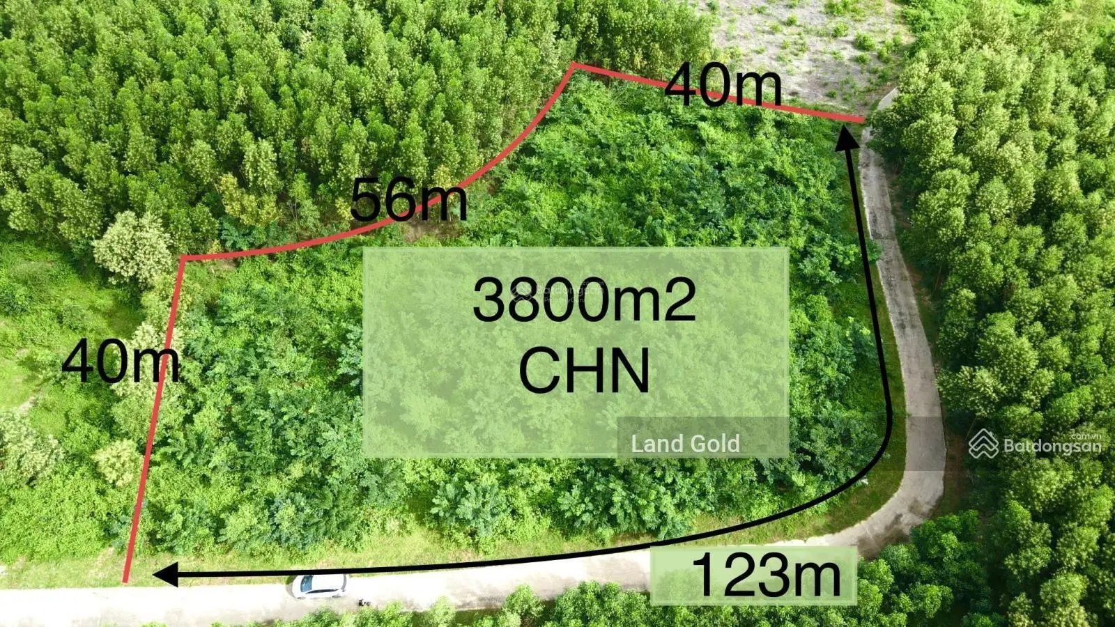 Diên Tân 3800m2 MT 123m bê tông ô tô tận nơi đất CHN