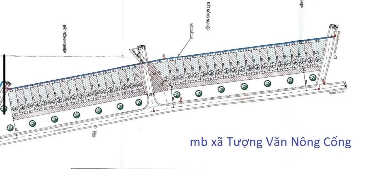 Chính chủ cần bán bán 50 lô đất tại Thanh Hóa (Huyện Đông Sơn)