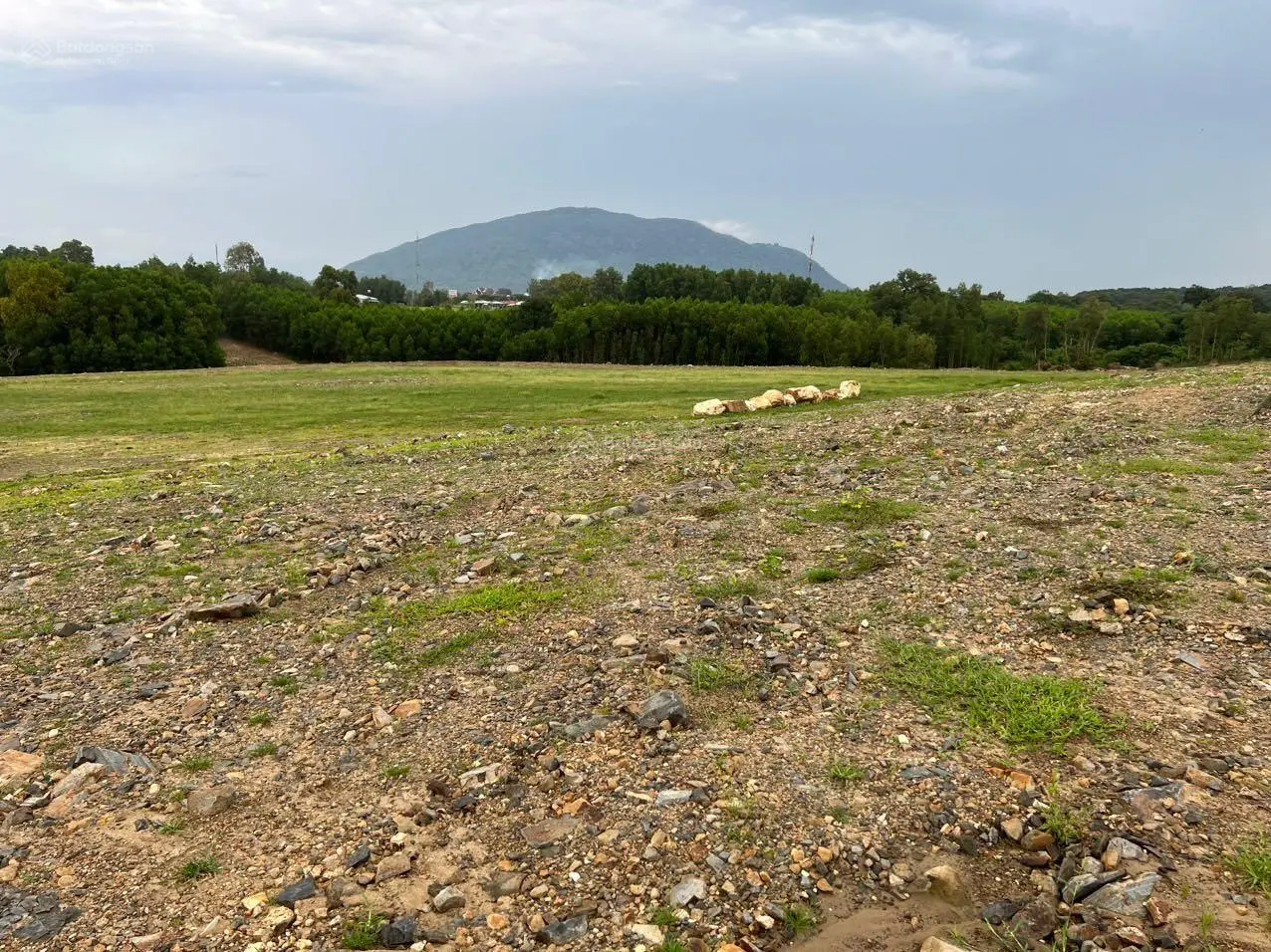 Cần bán 5,5 ha đất có 220m MT Song Hành CT Dầu Giây - Phan Thiết cách lối ra 200m. 6,5 tỉ/ha, SHR