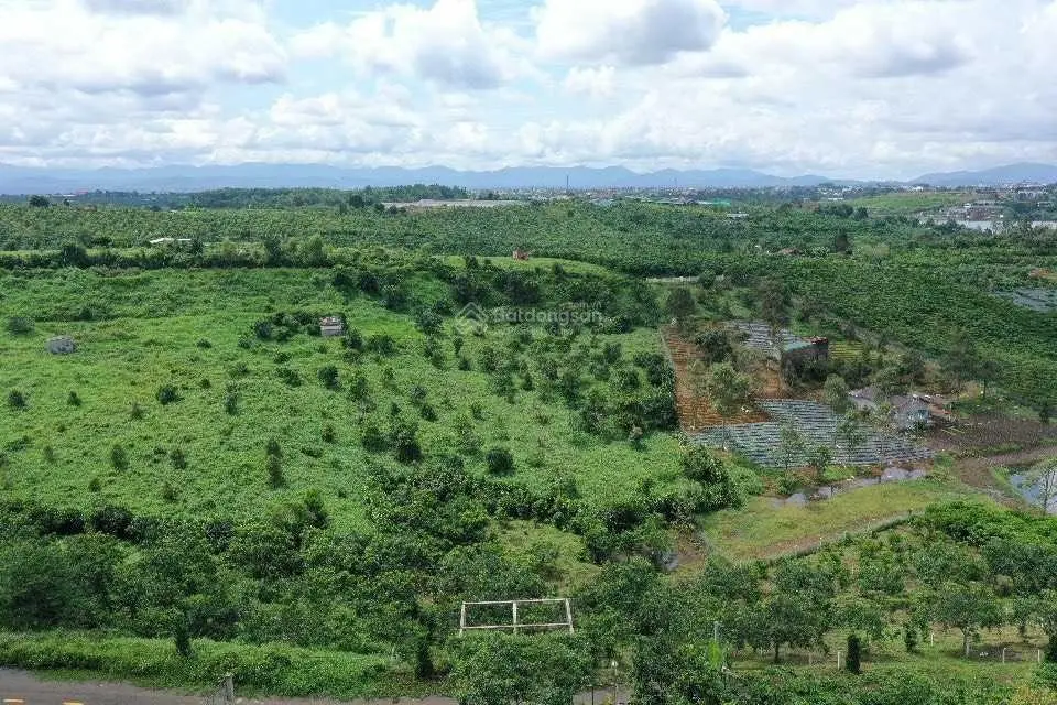 Bán đất đường Lý Thường Kiệt, có vườn. Đường nhựa, ngang 14m đất triền dốc giá rẻ 1 nửa xung quanh