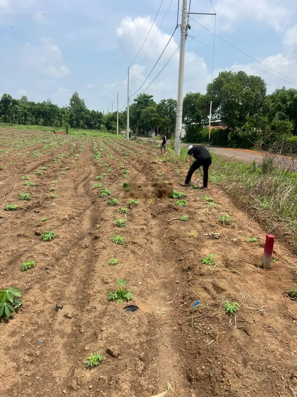 Cần bán lô đất mặt tiền đường nhựa 8m Lộc Quang