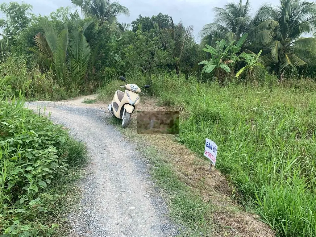 Nền Tân An Luông