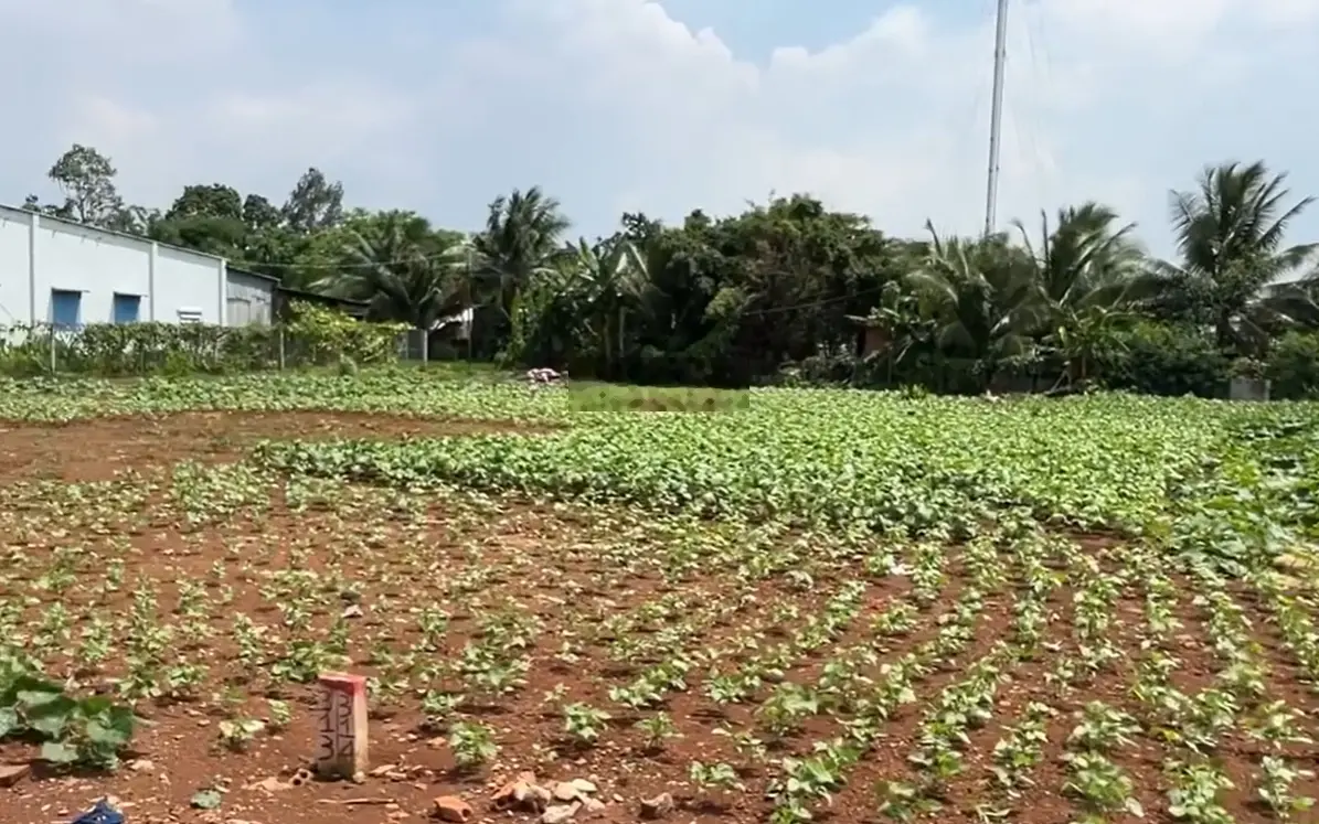 Chủ cần tiền bán nhanh lô đất thổ cư giá rẻ nhất tại Xuân Lộc, Đồng Nai