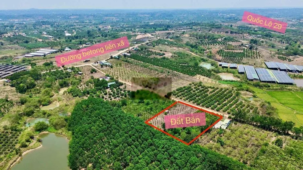 800m2 đăt có thổ cư tại Xuân Phú, Eakar, Đaklak. giá chỉ 189tt