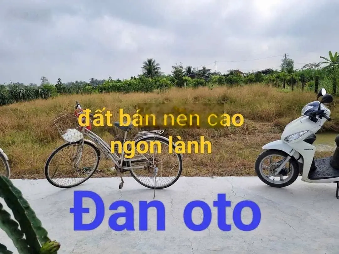 5x 23 thổ cư đường Đan OTO cách nhựa kênh nổi 100 m Cách nhựa Nguyễn Thông 300 m