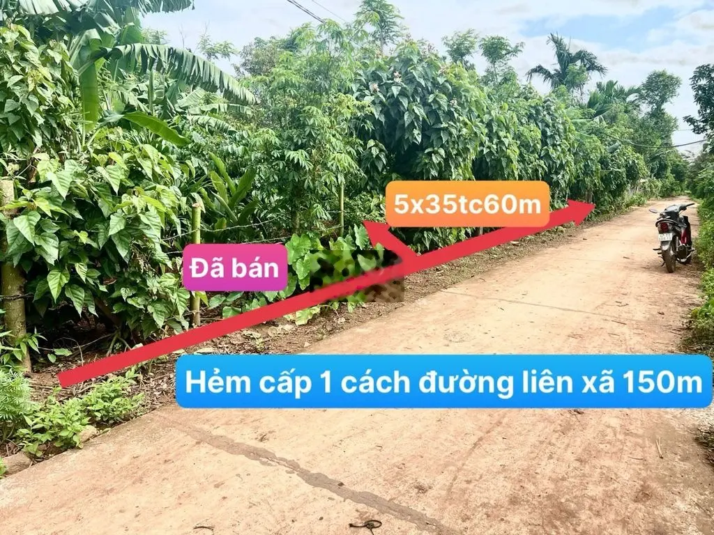 Bán lô đất thổ cư. khu bàn cờ đường bê tông. Ngay ủy ban huyện Cư kuin