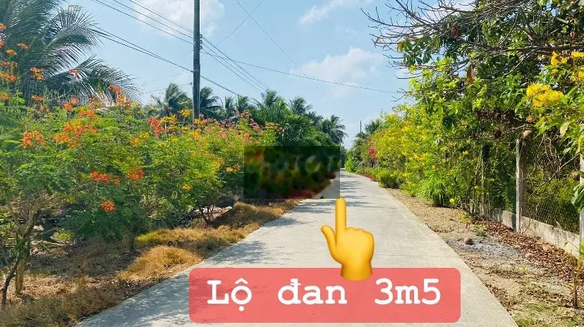 Bán đất 2,2 tỷ, diện tích 5500m2 tại hl173, Xã Phong Nẫm, Huyện Giồng Trôm, Bến Tre