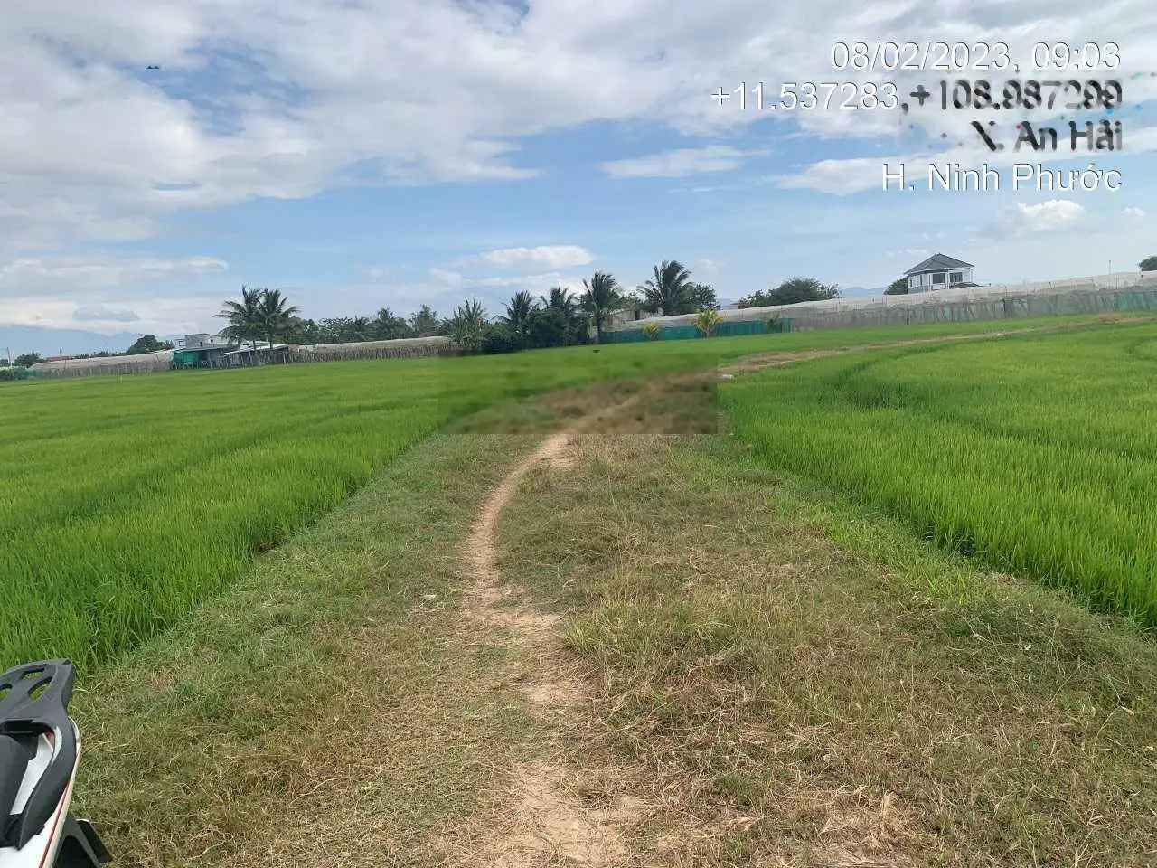 Bán đất nông nghiệp giá siêu rẻ. Thôn An Thạnh - An Hải, gần TP Phan Rang - Tháp Chàm