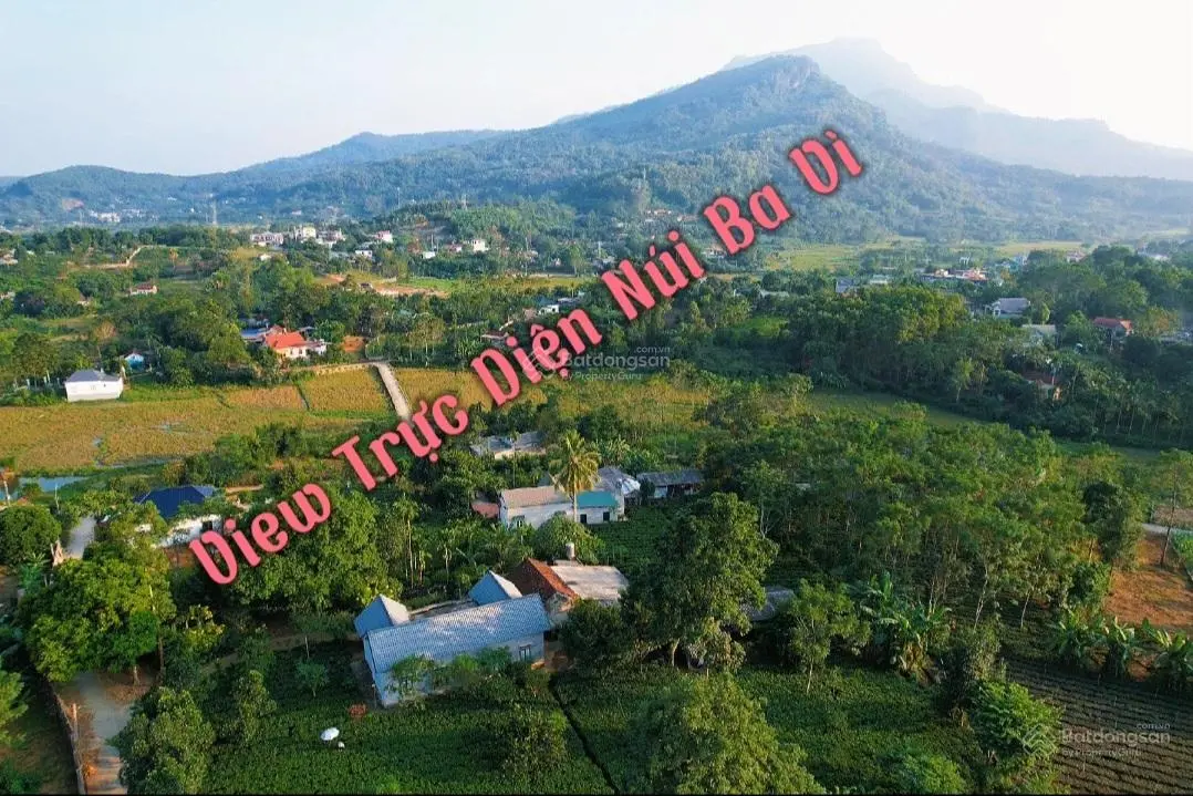 Quần Thể Người Hà Nội Nghỉ Dưỡng, Vuông Vắn Đẹp Nhất Khu, Chè Xanh Mát, View Núi Ba Vì0903 455 ***