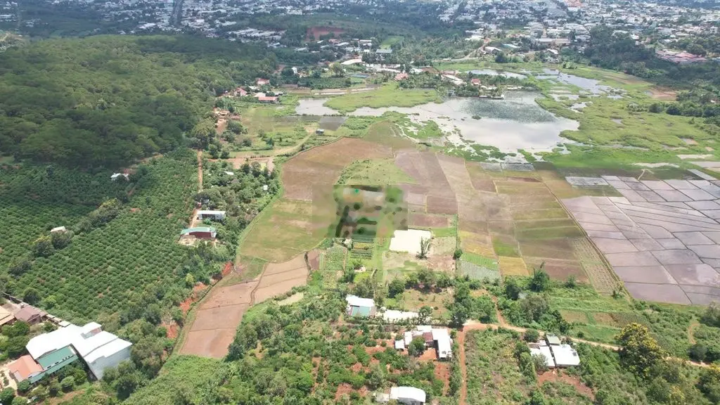 Cần bán 1ha đất trung tâm thành phố, P. Hội Phú, Tp. Pleiku, Gia Lai