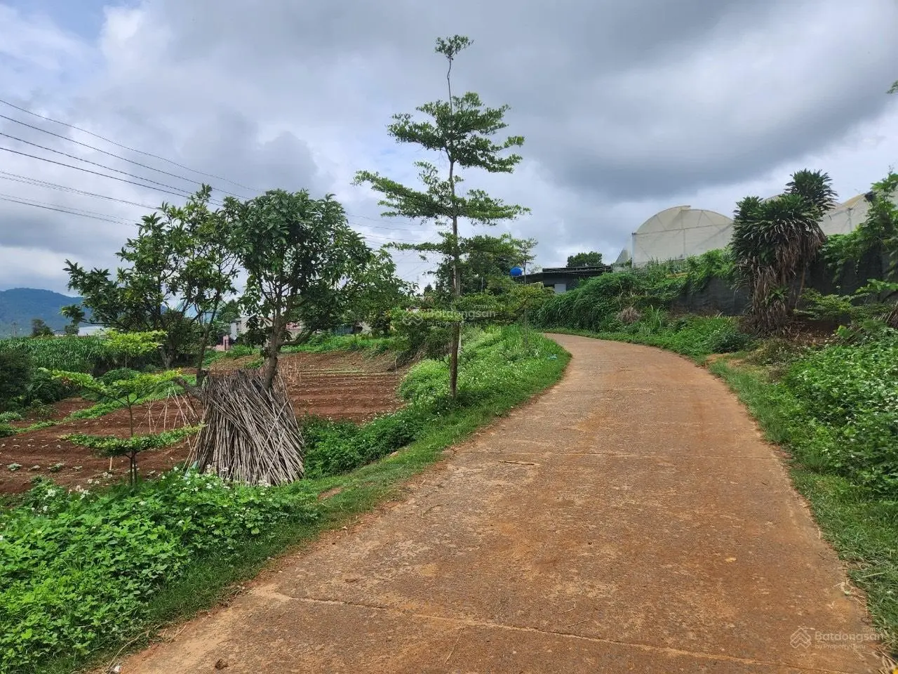 Siêu phẩm đang đợi ACE chốt đơn (F0). Đất Đơn Dương, cách sân bay Đà Lạt 22km