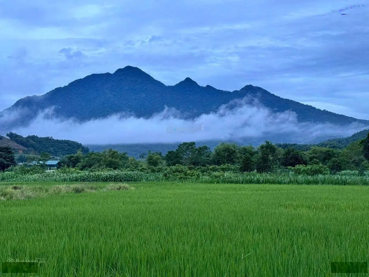 Chính chủ bán lô 504m2 thổ 200m2 mặt đường chạy xung quanh view đẹp tại Vân Hoà Ba Vì Hà Nội