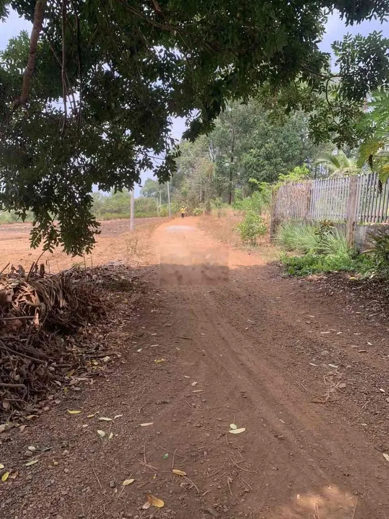 Bán 2 hecta đất lô góc có 300m thổ cư cách Sân Bay Long Thành 3km