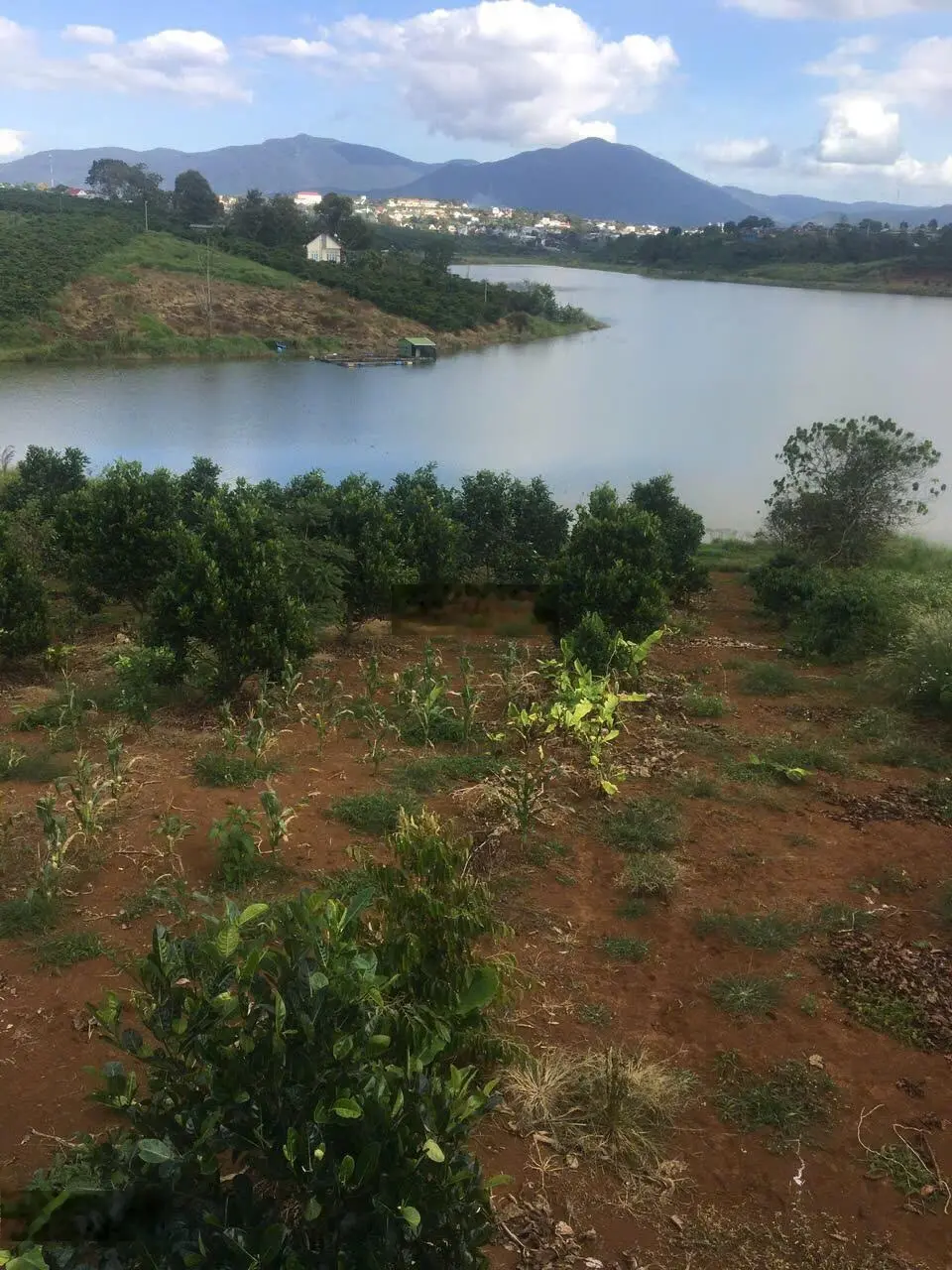 Cần bán đất view hồ Tây, Di Linh. Có thể thương lượng