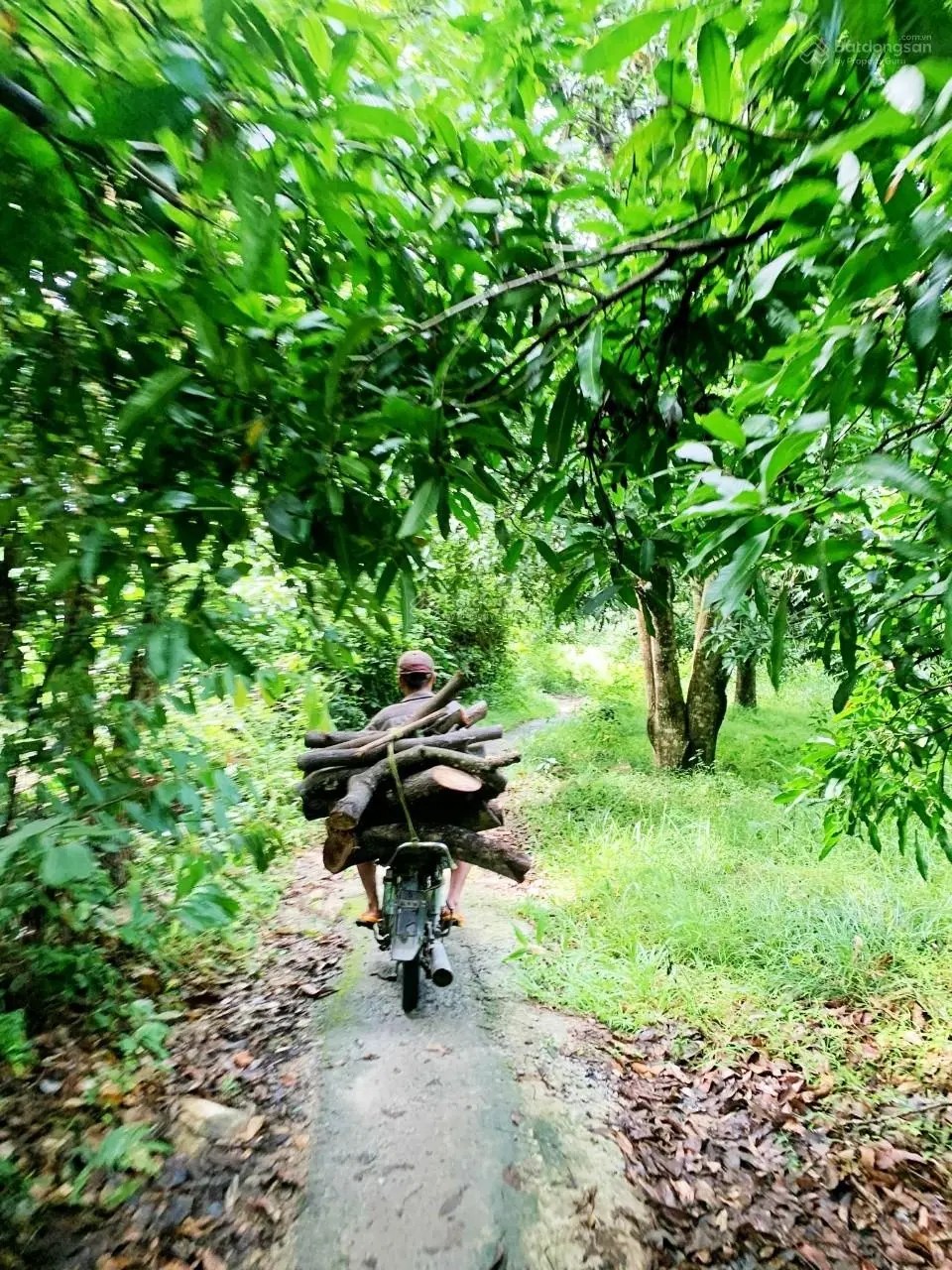 1,7 ha suối đá Am Chúa, dài 200m