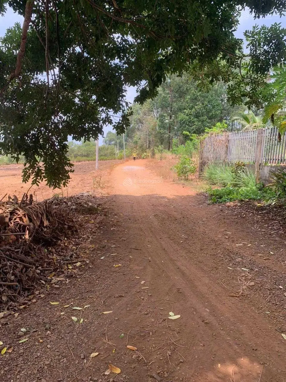 Ngộp ngân hàng bán lỗ sâu 2 hecta đất cách sân bay Long Thành 4km có 300m2 thổ cư