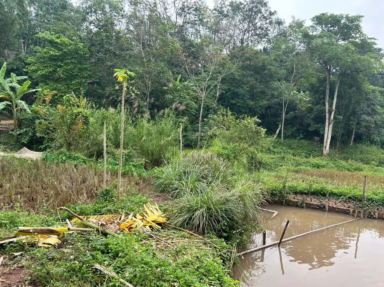 Chính chủ bán 10,0000m2 đất tại Cun Pheo, Mai Châu, Hoà Bình