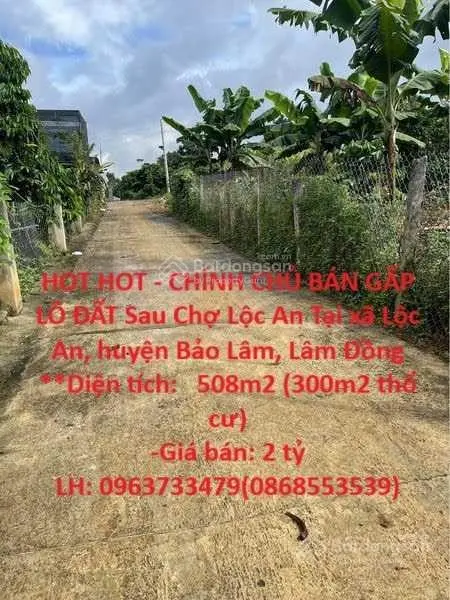 HOT HOT - CHÍNH CHỦ BÁN GẤP LÔ ĐẤT Sau Chợ Lộc An Tại xã Lộc An, huyện Bảo Lâm, Lâm Đồng