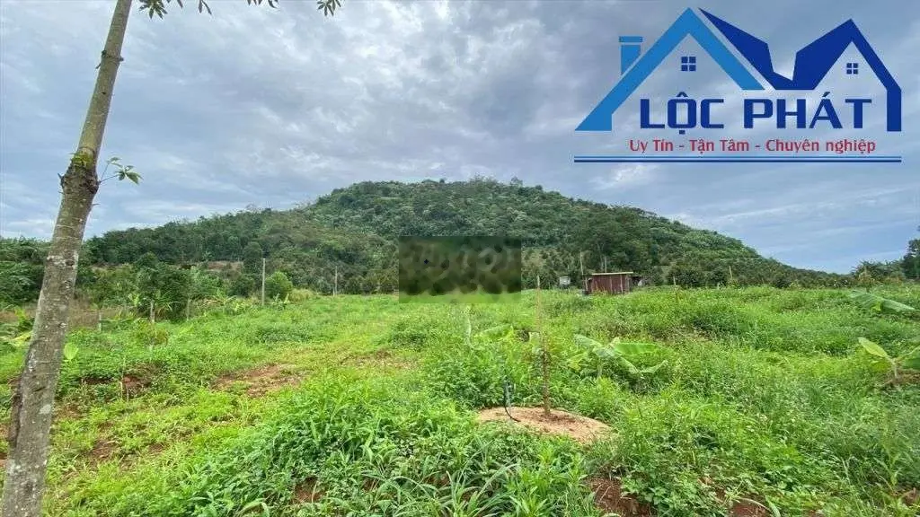 Bán đất xã Hàng Gòn TP Long Khánh 15229m2 giá giảm còn 13,7 tỷ