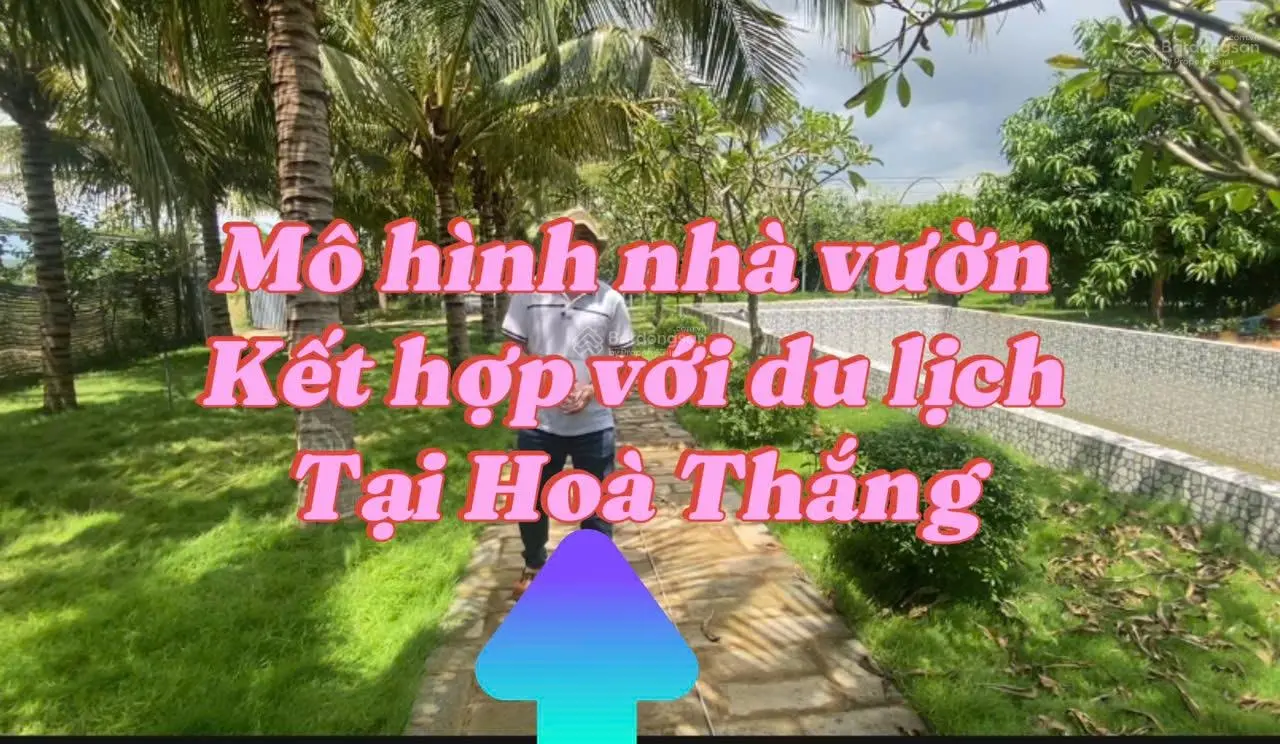 Đất Biển Hòa Thắng , Thích hợp xây nghỉ dưỡng , Cafe view đẹp ,