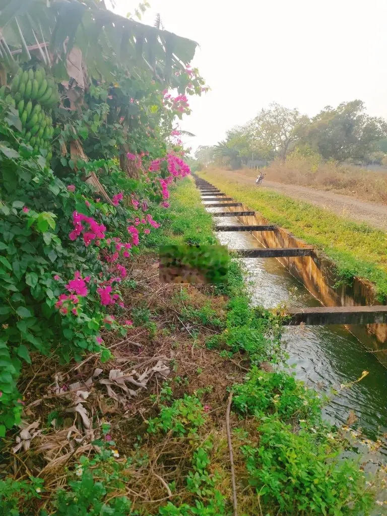 lô đất hướng đông nam, đường Ea Kao-Hoà Khánh, Buôn Ma Thuột, Đăk Lăk