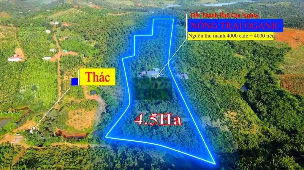 Bán 4.5ha đất vườn Gia Nghĩa, nguồn thu đẹp, chỉ 3 năm thu hồi vốn đất