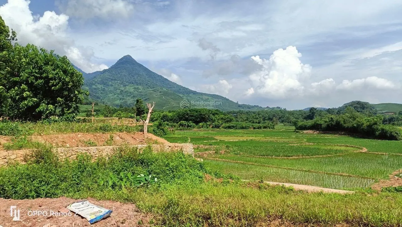 View núi bám cánh đồng không khí trong lành. Đặc biệt giá rẻ hơn DT 1350m2 giá gần 2 tỷ tại Ba Vì