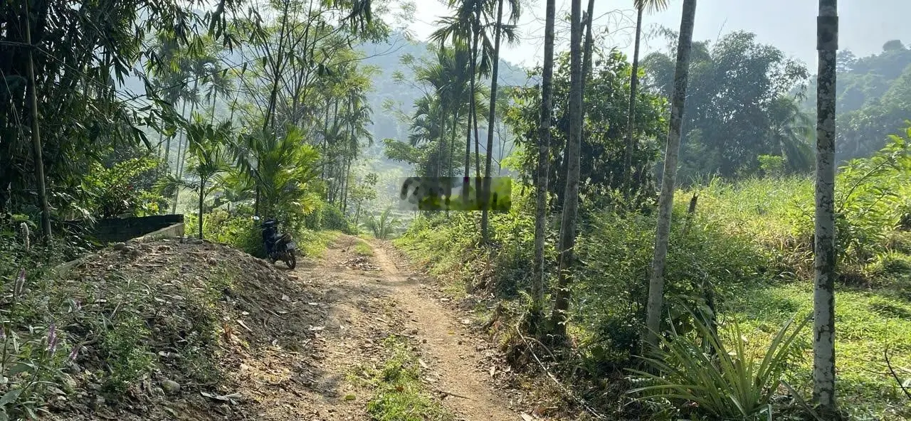 Bán đất siêu hời tại Vân Âm, Ngọc Lặc, Thanh Hóa, 3666m2, pháp lý đầy đủ