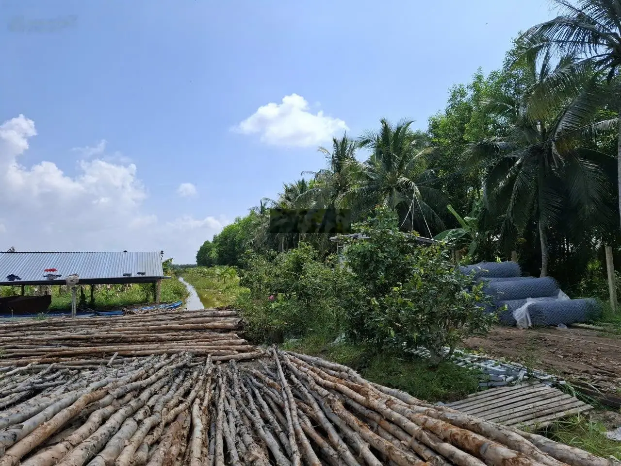 Chị ruột cần bán 18ha đất trồng cây lâu năm, đang trong giai đoạn khai thác Chuối và Dừa