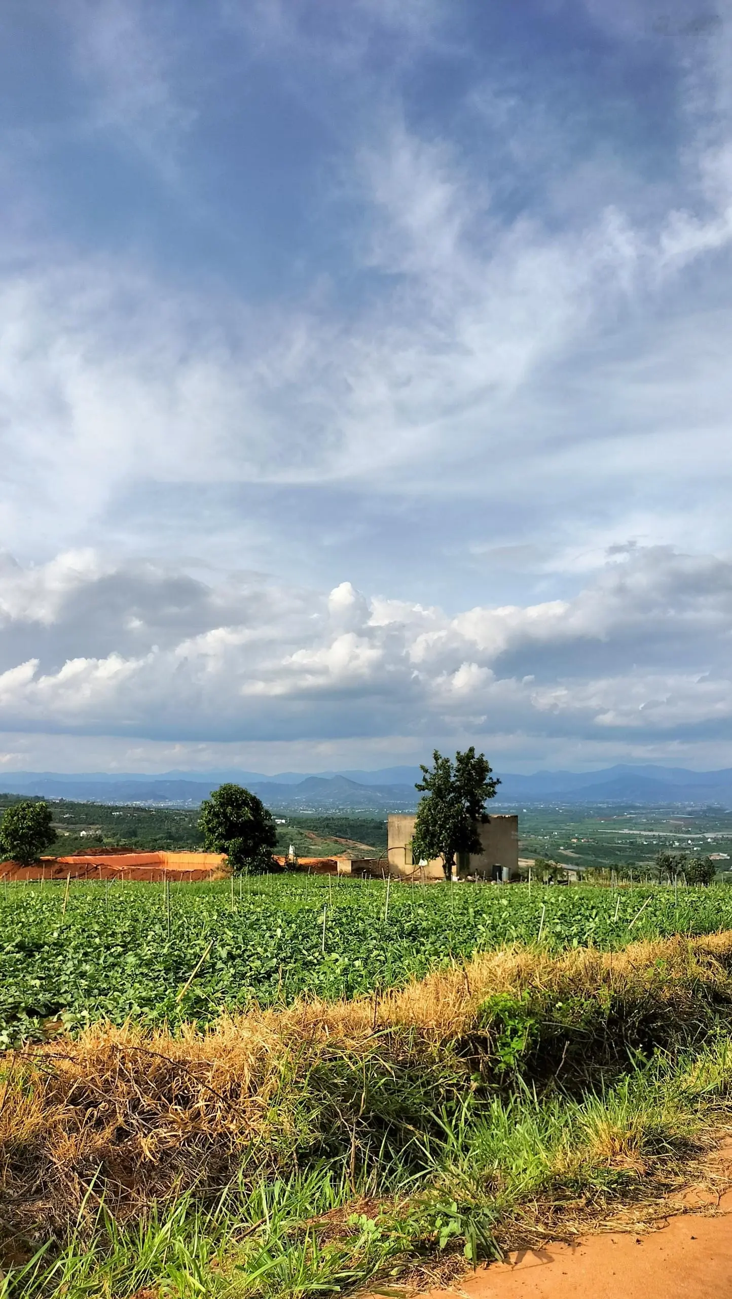 Sở hữu ngay đất Tân Hà, Lâm Đồng - giá chỉ từ 839 triệu, view đẹp, diện tích rộng