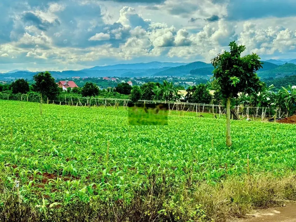 Bán lô đất View trực diện hồ Đông Thanh. Đất bằng đã lên Full thổ cư