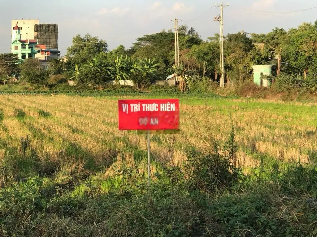 Chính chủ bán 5 lô đất xã đại áng, thanh trì: 42.5-56.6-58.5-40-52m2