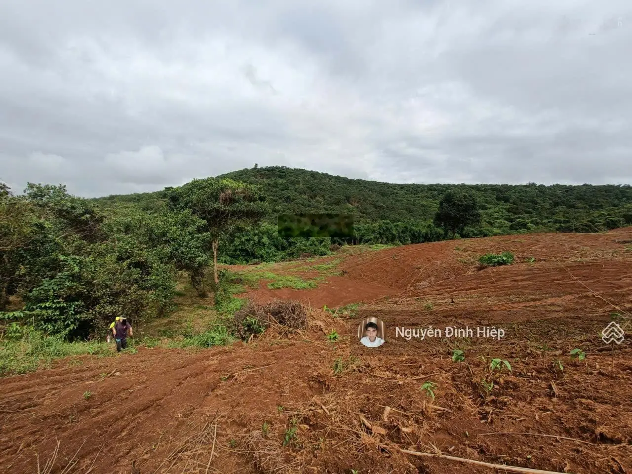 Bán đất Quảng Tân, 2.6ha, 100m đường đang đổ bê tông, giá bán 1,5 tỷ