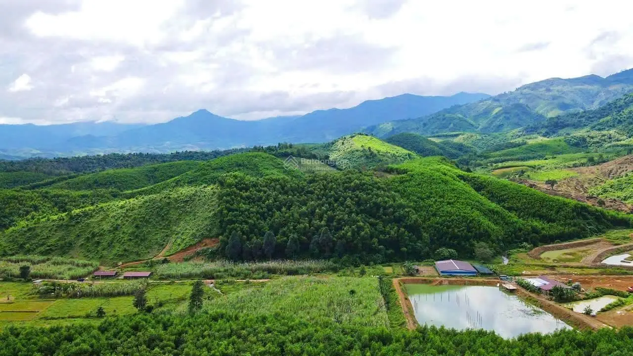 5,6ha mini Farmstay - suối Khánh Thượng, bê tông ô tô vi vu