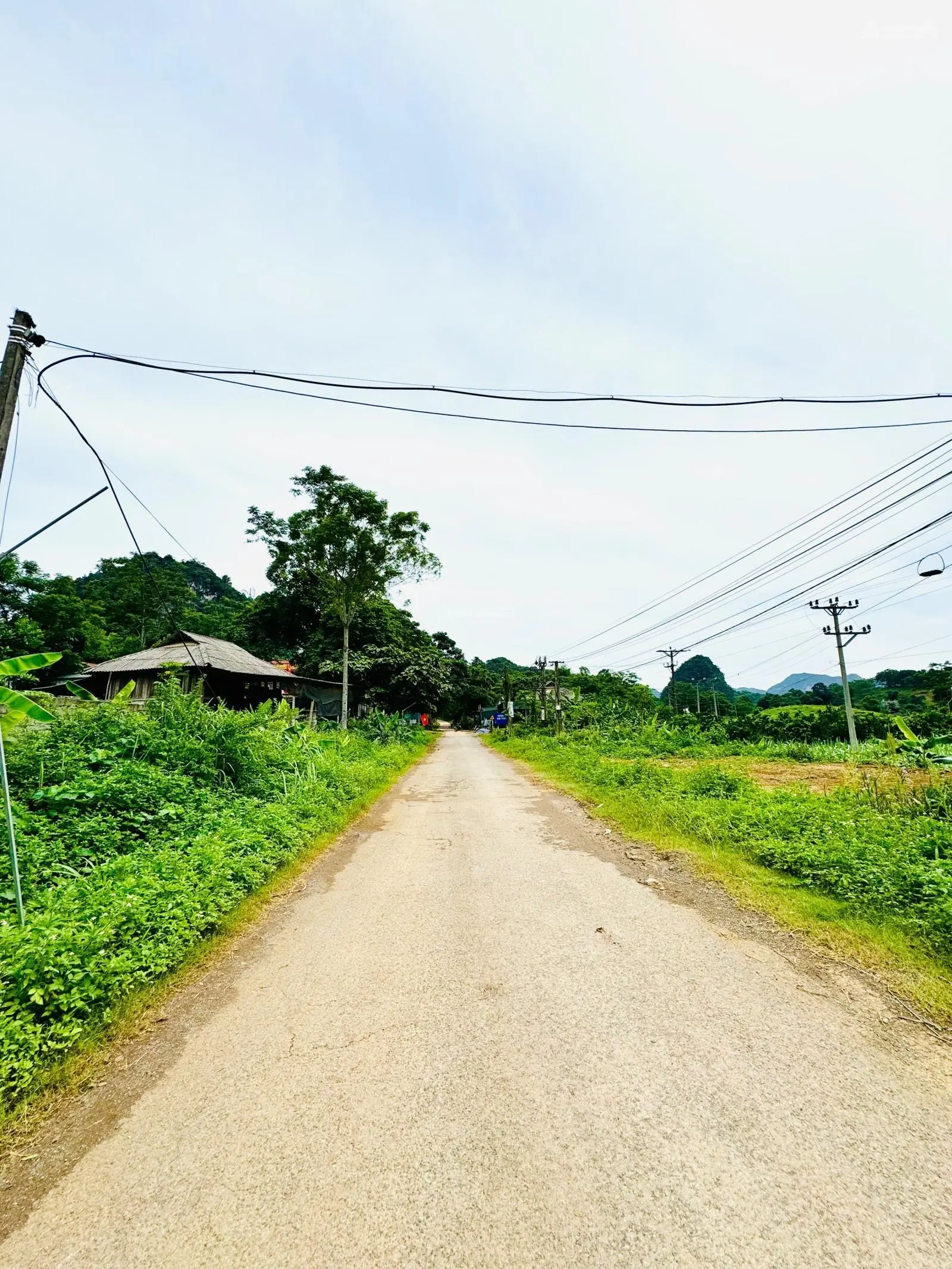 Bán đất tại Xóm Thăm, Suối Hoa, Tân Lạc, Hòa Bình. Diện tích 2176m2, giá thương lượng