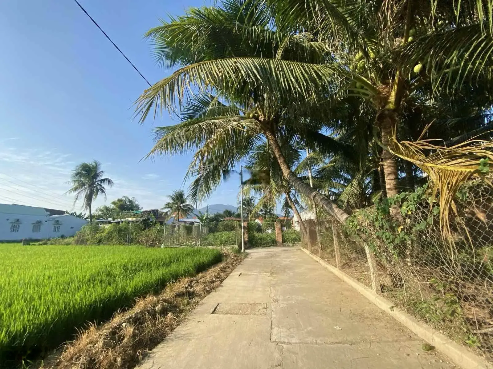 Đất phú bình, vĩnh thạnh - nha trang, đất rộng, gần sông phù hợp làm nhà vườn - biệt thự