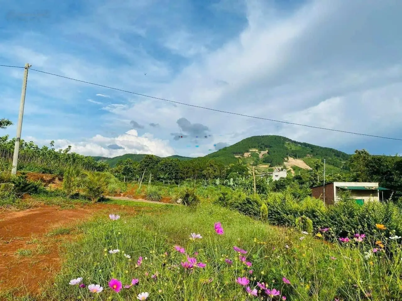 HOT ! Lô đất đẹp ngay trung tâm xã Gia Lâm, giá cực tốt chỉ từ 1,25 tỷ cách Đà Lạt 25km