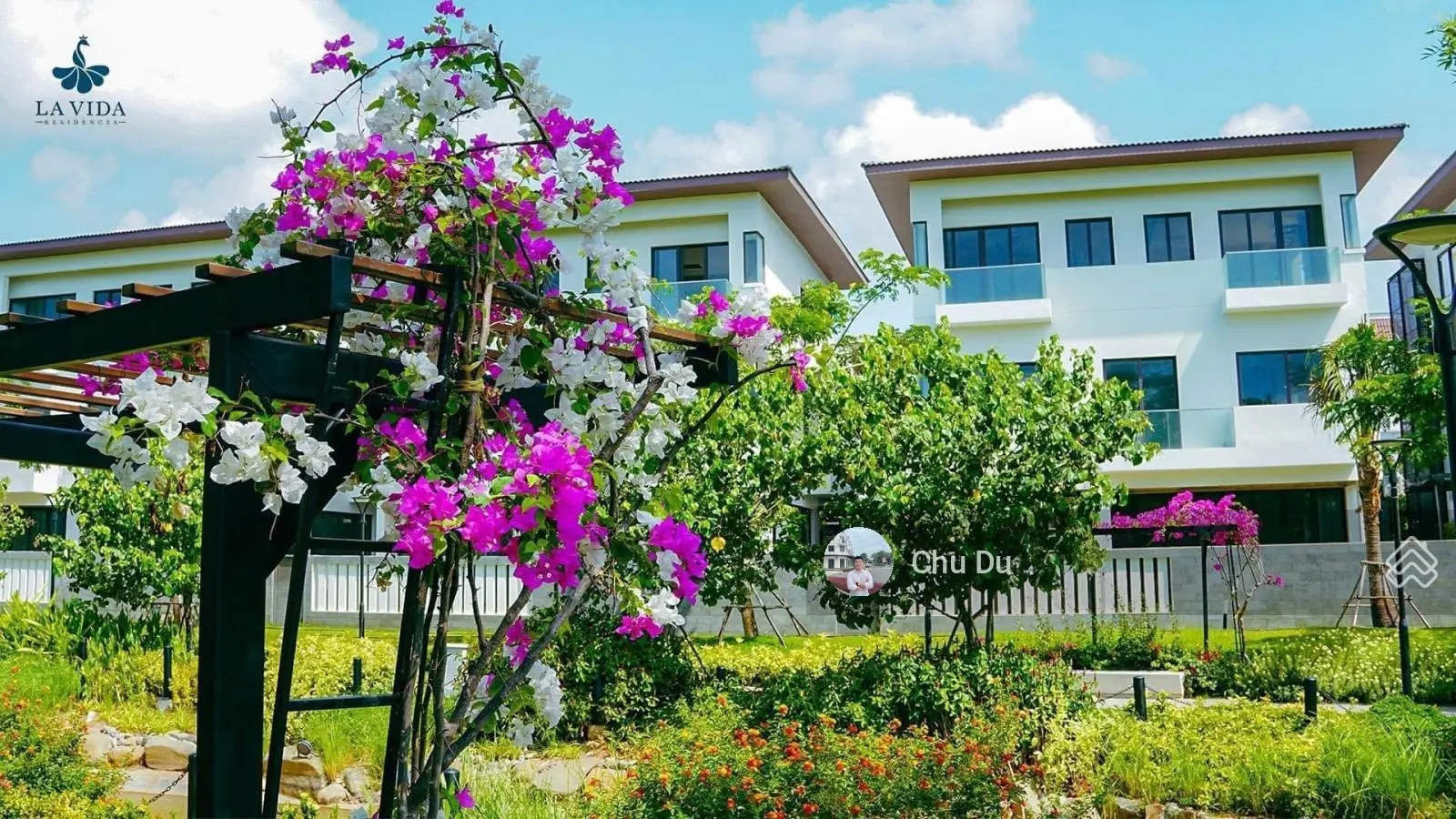 Cập nhật giỏ hàng chuyển nhượng La Vida Residences Vũng Tàu. Sổ hồng đợt đầu đang được bàn giao