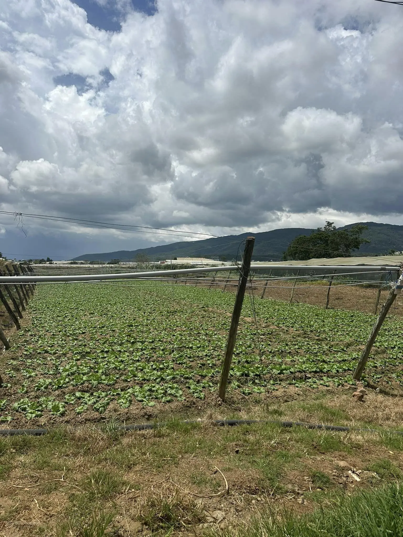 Chính chủ cần bán lô đất diện tích 3 sào đất nông nghiệp tại xã Ka Đô huyện Đơn Dương tỉnh Lâm Đồng