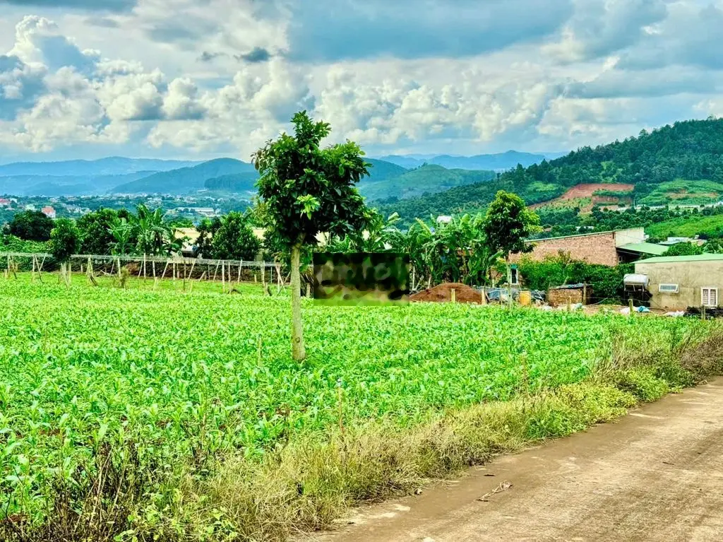 Bán lô đất View trực diện hồ Đông Thanh. Đất bằng đã lên Full thổ cư