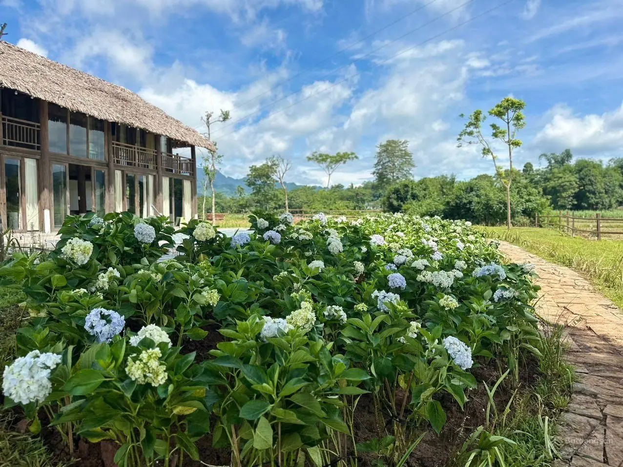 Khu nghỉ dưỡng đang hoạt động doanh thu tốt, cần chuyển nhượng giá siêu rẻ