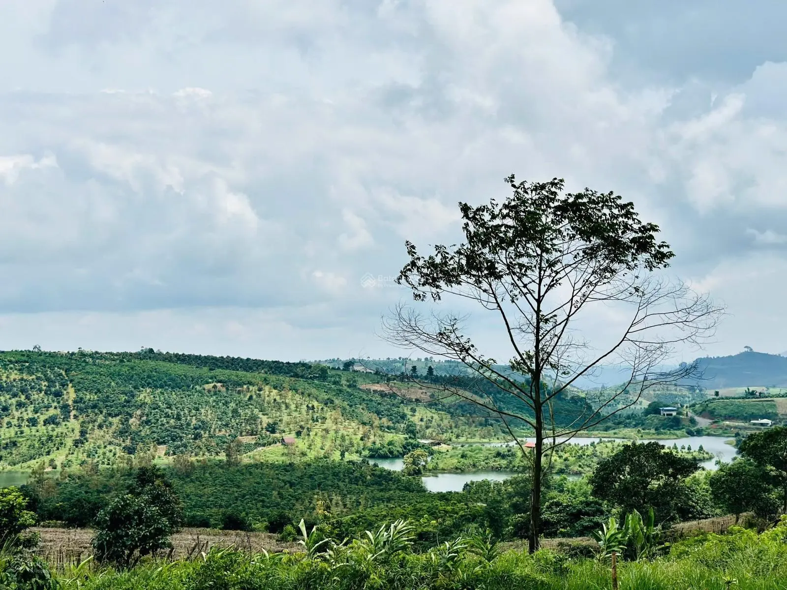 [lộc bắc- bảo lâm] đất nghĩ dưỡng view hồ 1028m2 giá chỉ 510 triệu. sẵn sổ hồng. có hỗ trợ vay bank